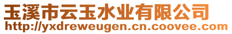 玉溪市云玉水業(yè)有限公司