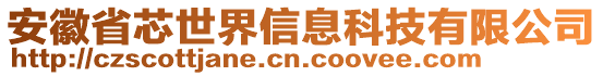 安徽省芯世界信息科技有限公司