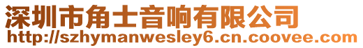 深圳市角士音響有限公司