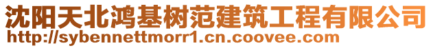 沈陽天北鴻基樹范建筑工程有限公司