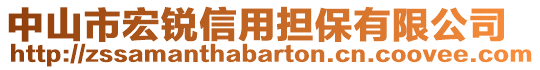 中山市宏銳信用擔(dān)保有限公司