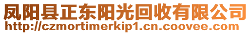 鳳陽縣正東陽光回收有限公司