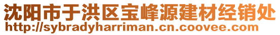 沈陽(yáng)市于洪區(qū)寶峰源建材經(jīng)銷(xiāo)處