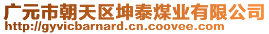 廣元市朝天區坤泰煤業有限公司