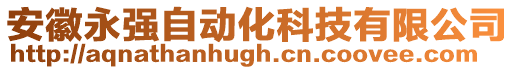 安徽永強自動化科技有限公司