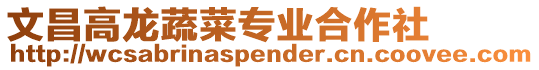 文昌高龍蔬菜專業(yè)合作社