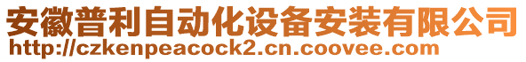 安徽普利自動化設(shè)備安裝有限公司