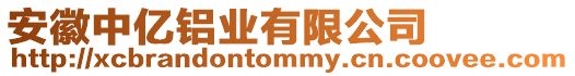 安徽中億鋁業(yè)有限公司