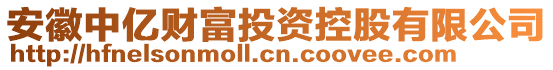 安徽中億財(cái)富投資控股有限公司