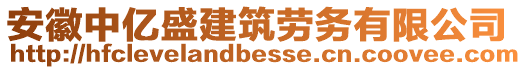 安徽中億盛建筑勞務(wù)有限公司