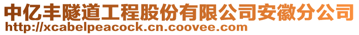 中億豐隧道工程股份有限公司安徽分公司