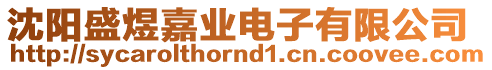 沈陽(yáng)盛煜嘉業(yè)電子有限公司