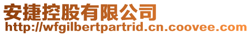 安捷控股有限公司