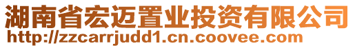 湖南省宏邁置業(yè)投資有限公司