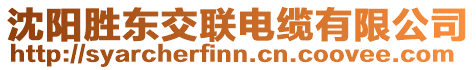 沈陽(yáng)勝東交聯(lián)電纜有限公司