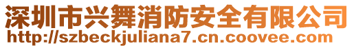 深圳市興舞消防安全有限公司