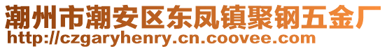 潮州市潮安區(qū)東鳳鎮(zhèn)聚鋼五金廠