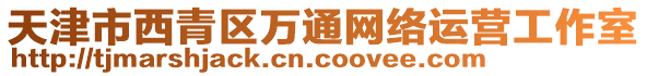 天津市西青區(qū)萬通網(wǎng)絡(luò)運營工作室