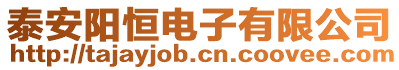 泰安陽恒電子有限公司
