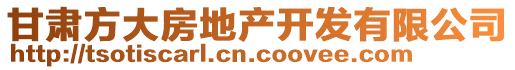 甘肅方大房地產(chǎn)開發(fā)有限公司