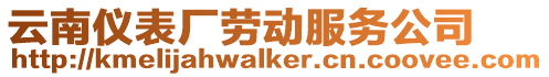 云南儀表廠勞動(dòng)服務(wù)公司