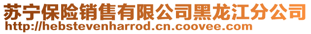 蘇寧保險銷售有限公司黑龍江分公司