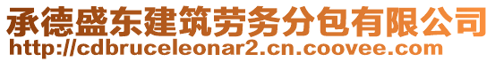 承德盛東建筑勞務分包有限公司