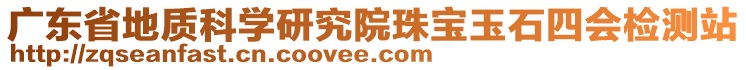 廣東省地質(zhì)科學(xué)研究院珠寶玉石四會檢測站