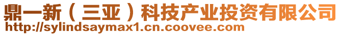 鼎一新（三亞）科技產業(yè)投資有限公司