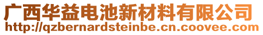 廣西華益電池新材料有限公司