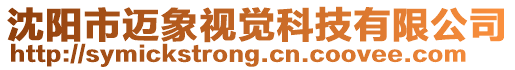 沈陽市邁象視覺科技有限公司