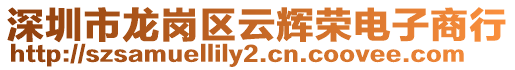 深圳市龍崗區(qū)云輝榮電子商行