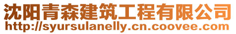 沈陽青森建筑工程有限公司