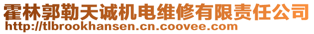霍林郭勒天誠機電維修有限責任公司