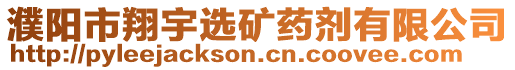 濮陽(yáng)市翔宇選礦藥劑有限公司