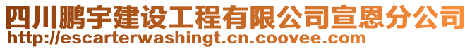 四川鵬宇建設(shè)工程有限公司宣恩分公司