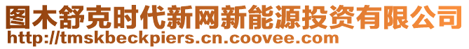 圖木舒克時(shí)代新網(wǎng)新能源投資有限公司