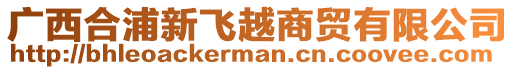 廣西合浦新飛越商貿(mào)有限公司