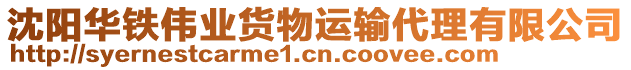 沈阳华铁伟业货物运输代理有限公司