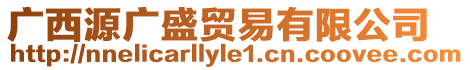 廣西源廣盛貿(mào)易有限公司