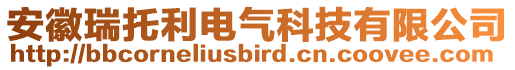 安徽瑞托利電氣科技有限公司