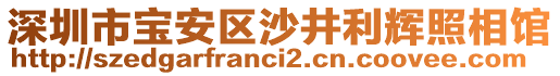 深圳市寶安區(qū)沙井利輝照相館