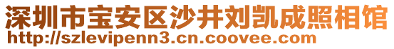 深圳市寶安區(qū)沙井劉凱成照相館
