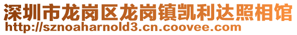 深圳市龍崗區(qū)龍崗鎮(zhèn)凱利達(dá)照相館