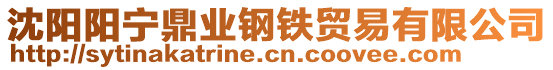 沈陽陽寧鼎業鋼鐵貿易有限公司