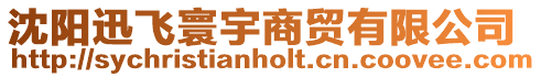沈陽迅飛寰宇商貿有限公司