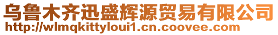 烏魯木齊迅盛輝源貿(mào)易有限公司