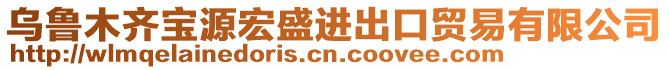 烏魯木齊寶源宏盛進出口貿(mào)易有限公司