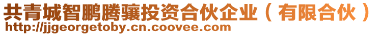 共青城智鵬騰驤投資合伙企業(yè)(有限合伙)