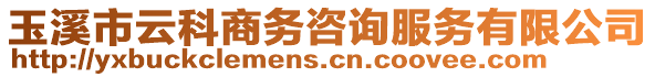 玉溪市云科商務咨詢服務有限公司